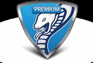 VIPRE Antivirus Definitions Update File