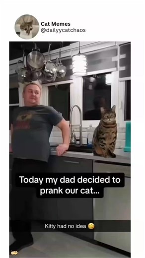 Furry Tales on Instagram: "In Japan, researchers are using smart walkways to turn everyday activities into clean energy 4. These roads are embedded with special piezoelectric material that can collect kinetic energy from pedestrians' footsteps. When people walk, run or jump, the road surface is slightly deformed, creating mechanical pressure. Piezoelectric crystals convert this pressure into electrical energy. This energy can be used to illuminate street lights, power public displays, and even m