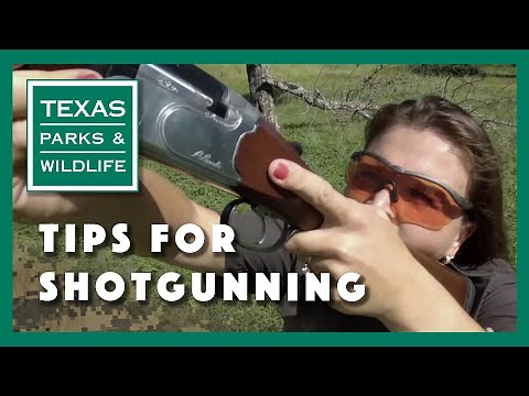 Tips For Shotgunning