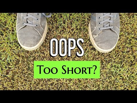 Can You Cut Your Grass TOO Short?
