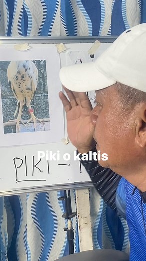 1.2M views · 13K reactions | Dahilan para tawaging piki ang manok #tarilesson #taritutorial #gaffinglesson #fbreelsviral #fbreelsfypシ゚ #reelsviralシ #reelsvideoシ #follower #highlight #everyonefollowers | Camilo Mark C Ugay | Facebook