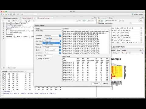 Make a Heatmap on R Studio