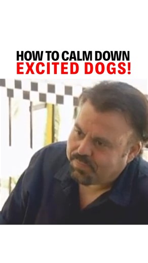 It is much easier for your dogs to be calm at a restaurant if they enter calmly! | Cesar Millan