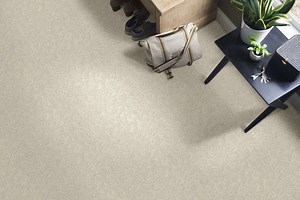 Shaw: Foundations Collection - National Carpet and Flooring