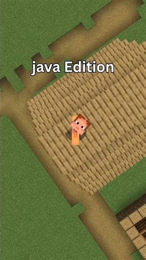 Day 4 – Minecraft Java Problems | Java vs Bedrock 😶