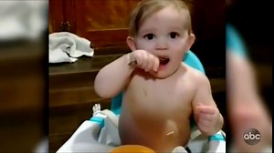 AFV Honorable Mentions: Season 29 Episode 20 : Free Download, Borrow, and Streaming : Internet Archive