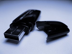 How to Download From the Internet to a Flash Drive | Techwalla