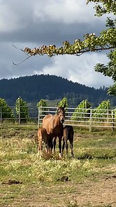 28K views · 2.2K reactions | This is a cute video of our little...