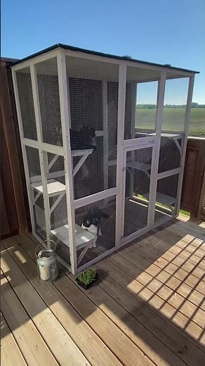 Why Your Cat Needs an Outdoor Cat House: Outdoor Fun Awaits!