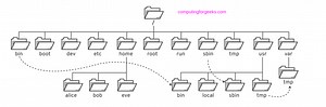 Understanding the Linux File System Hierarchy | ComputingForGeeks