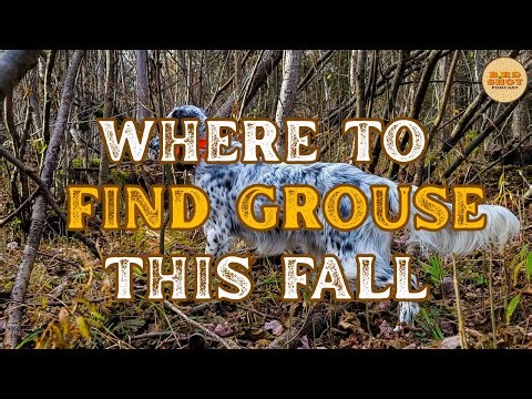 #336 | Habitat Clues Every Upland Hunter Should Know with Ann Jandernoa