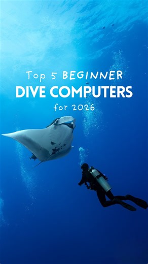 錄 Are you a beginner looking for your first dive computer? Here are 5 that we’d recommend!  1️⃣ Suunto Zoop Novo 2️⃣ Aqualung i100 3️⃣ Mares Puck 4 4️⃣ Cressi Leonardo 5️⃣ Suunto Vyper Novo Are you using any of these? Let us know what you think about them! #aqualung #scubadive #divecomputer #cressi #suunto #underwater #underwaterphotography #bluewaterphoto | Bluewater Photo | Facebook