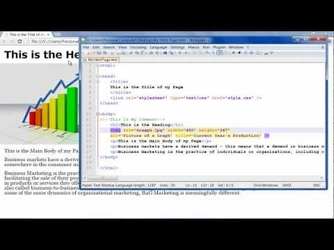 How to Add an Image in HTML