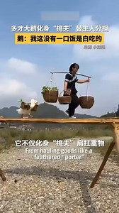 121K views · 3.3K reactions | 廉How amazing! A white goose in a rural...