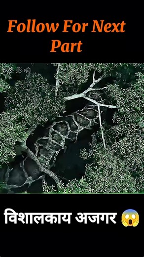 1.5K views | Giant Python  #movie #reels #expsana #30k | Exp Sana | Facebook