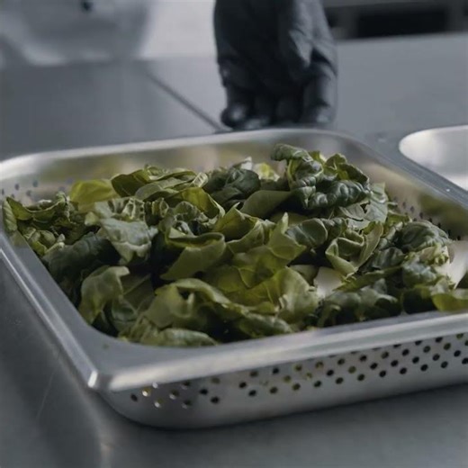 Steamed Perfection Made Easy with the iCombi Pro | RATIONAL