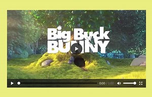 Make HTML5 or Youtube Embed Video Fully Responsive | Codeconvey