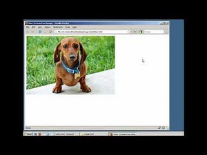 How to Embed Images in Documents and Websites