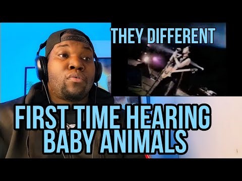 Baby Animals | Backbone | Official Video 1993 | Reaction