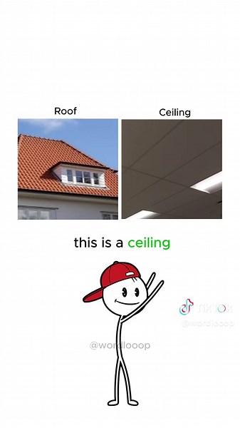What is the difference between these english terms? Learn these english terms easily. Follow for more content like this if you enjoy learning English! #englishvocabulary #englishlearning #englishtips #wordloop #wordlooop
