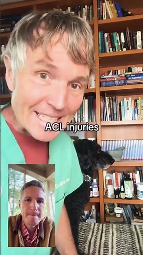 What's the BEST Time to Spay or Neuter Your Dog?