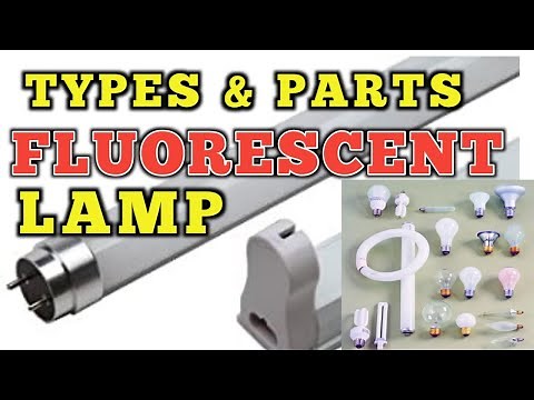 TYPES AND PARTS OF FLUORESCENT LAMP- TVE/TLE EIM