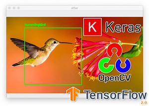 Turning any CNN image classifier into an object detector with Keras, TensorFlow, and OpenCV - PyImageSearch