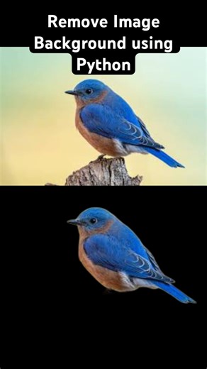 Remove Image Background in Seconds with Python | rembg Tutorial 🚀 #Python #Shorts #AI #shorts #ml