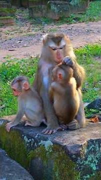 Amazing Mom Luna Moment