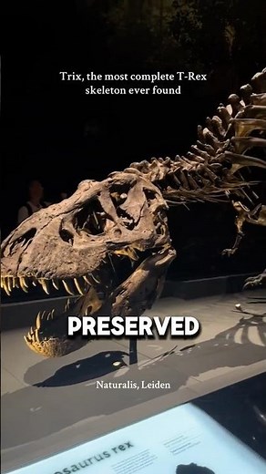 The Most Complete T. Rex Fossil Ever Found 😨