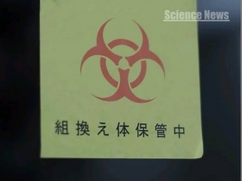 [ScienceNews] （３７）遺伝子組み換え作物の現状と課題