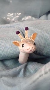 Ball Python 🐍 The Cutest Pet Snake! | 1 Minute Animals Considering a pet snake? Meet the Ball Python! Known for their docile nature and manageable size, these snakes are perfect for first-time reptile owners. With their striking patterns and calm demeanor, they make fascinating companions. Discover if the Ball Python could be your ideal pet! #ballpython #python #ballpythonmorphs #ballpythonsnake #ballpythonlove | 1 Minute Animals