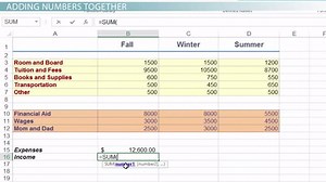 Using the SUM Function in Excel