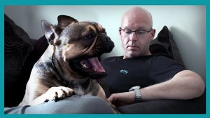 155K views · 1.8K reactions | Victoria shows the owners of two french bulldogs why 'bored' dogs are always getting into trouble! 10 FULL EPISODES available now on Discovery+ (UK) https://bit.ly/3kYUaiO ▶ Get more dog training tips from Victoria Stilwell on her official site: https://positively.com ▶To enroll in Victoria’s dog training courses at the Victoria Stilwell Academy: https://www.vsdogtrainingacademy.com | Me Or The Dog | Facebook