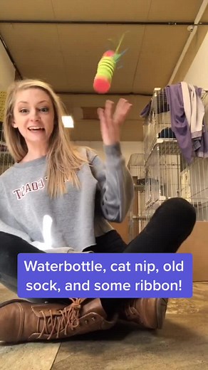 Entertain Your Cat with These Easy and Affordable Hacks!