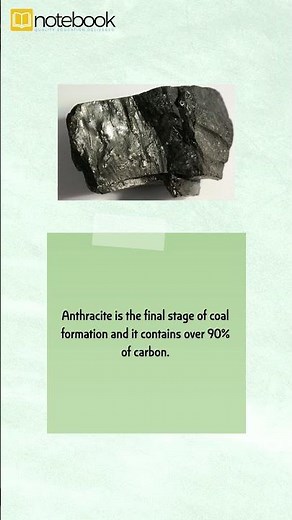 CBSE Class 8 Science | Chapter Coal and Petroleum | Fun Learning with Notebook