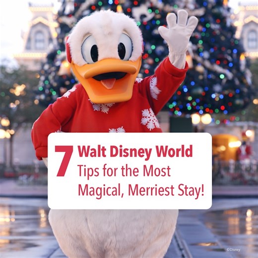 167K views · 824 reactions | Joyful moments & special memories await around every turn at Walt Disney World Resorts during the holidays... and we've got 7 tips to make them even more magical! What other merry must-dos would you add? ✨❄️ | Walt Disney World | Facebook