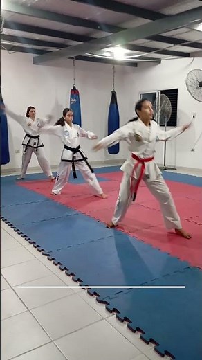 Training Patterns #18 -TAEKWON-DO ITF ORIGINAL-