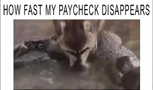 7.3K views · 120 reactions | The sad reality LOL | Funny Viral Videos | Facebook