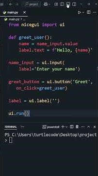 Build a Web App with Python in 60 Seconds! | NiceGUI Tutorial #python