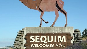 156K views · 425 reactions | Visiting Sequim, Washington July 21-23rd for our Sequim Lavender Weekend? You might want to know how to say it! SEE-KWIM; SEH-KWIM; SEE-KWEEM- they're all nice tries, but there's only one way to say our town's name: "SKWIM." Learn how to say it here! | Visit Sunny Sequim | Facebook