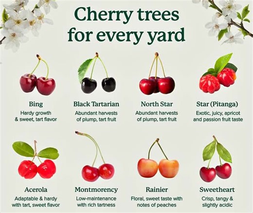 11K views · 66 reactions | Garden Naturally Group on Reels | Facebook