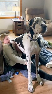 Watch what he does when the microwave beeps! ❤️ | The Dodo