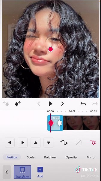 Ultimate Guide on Using Custom Graphs in Funimate