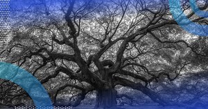 How Database B-Tree Indexing Works | Built In