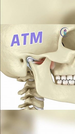 Así se ve funcionando tu ATM (articulación temporomandibular) #anatomia #atm