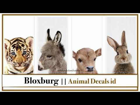 Bloxburg Decals || Animal decals id || decal codes