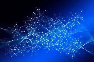 What is a concord error example? - TimesMojo