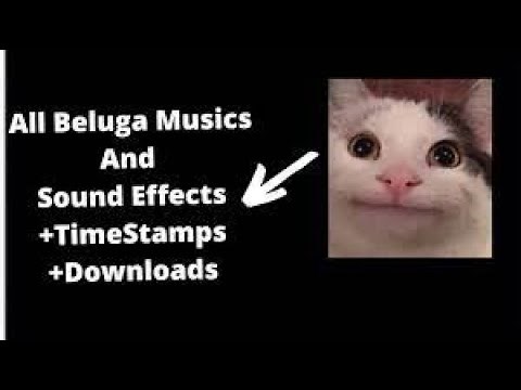 All of Beluga's Background Music & SFX (Free Downloads & Timestamps)Song that Beluga use.
