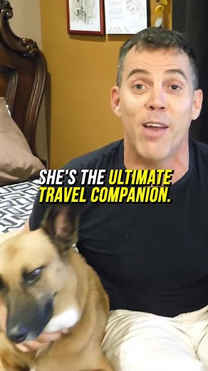 How to Get Your Dog Certified as a Service Dog